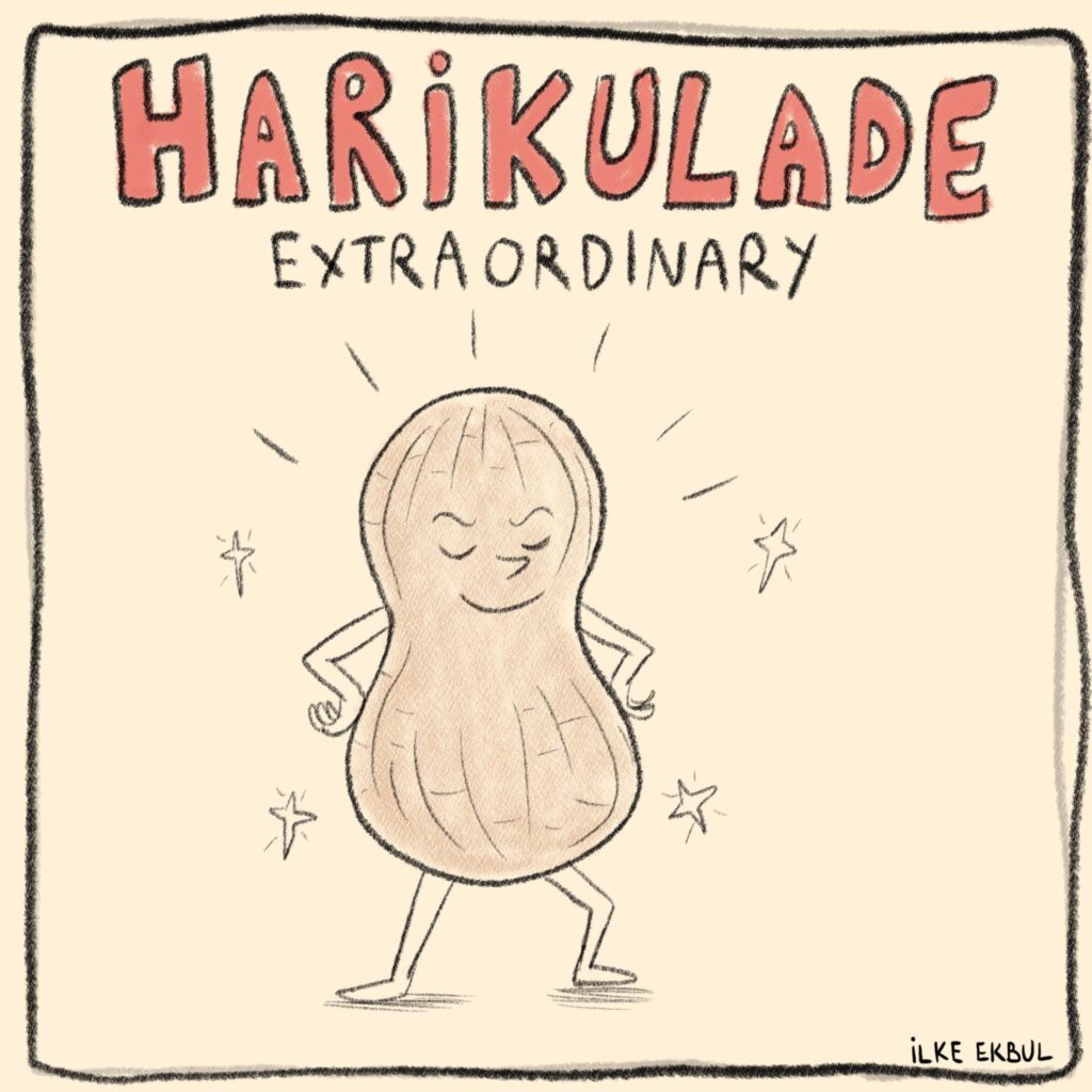 Hayat Delikatessen; Erdnüsse mit Haut; Pistazienkerne; Harikulade