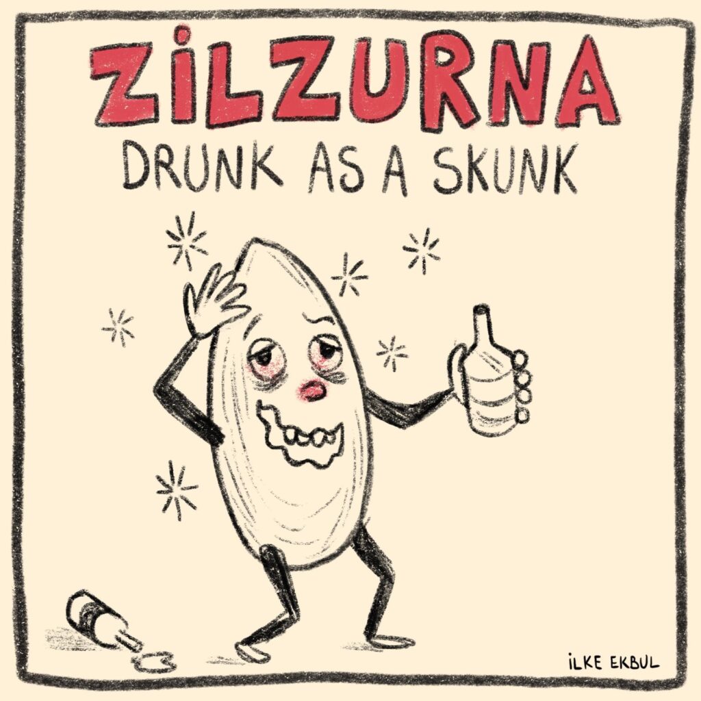 Hayat Delikatessen; Türkisch mit Karikaturen; Genuss mit Karikaturen; Pistazienkerne; Piccola Haselnüsse; Zilzurna